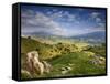 Rolling Green Hills of Central California No.4-Ian Shive-Framed Stretched Canvas