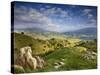 Rolling Green Hills of Central California No.4-Ian Shive-Stretched Canvas