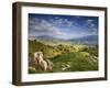 Rolling Green Hills of Central California No.4-Ian Shive-Framed Photographic Print