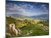 Rolling Green Hills of Central California No.4-Ian Shive-Mounted Photographic Print