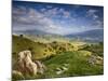 Rolling Green Hills of Central California No.4-Ian Shive-Mounted Photographic Print