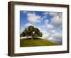 Rolling Green Hills of Central California No.5-Ian Shive-Framed Photographic Print