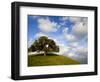 Rolling Green Hills of Central California No.5-Ian Shive-Framed Photographic Print