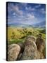 Rolling Green Hills of Central California-Ian Shive-Stretched Canvas