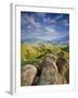 Rolling Green Hills of Central California-Ian Shive-Framed Photographic Print