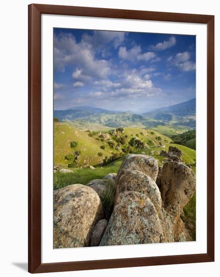 Rolling Green Hills of Central California-Ian Shive-Framed Photographic Print