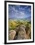 Rolling Green Hills of Central California-Ian Shive-Framed Photographic Print