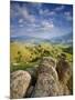 Rolling Green Hills of Central California-Ian Shive-Mounted Photographic Print