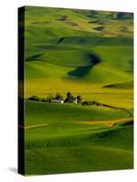 Rolling Green Hills of Spring Crops, Palouse, Washington, USA-Terry Eggers-Stretched Canvas