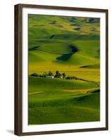 Rolling Green Hills of Spring Crops, Palouse, Washington, USA-Terry Eggers-Framed Premium Photographic Print