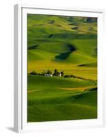 Rolling Green Hills of Spring Crops, Palouse, Washington, USA-Terry Eggers-Framed Premium Photographic Print