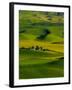 Rolling Green Hills of Spring Crops, Palouse, Washington, USA-Terry Eggers-Framed Premium Photographic Print