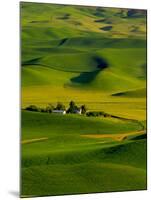 Rolling Green Hills of Spring Crops, Palouse, Washington, USA-Terry Eggers-Mounted Premium Photographic Print