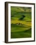 Rolling Green Hills of Spring Crops, Palouse, Washington, USA-Terry Eggers-Framed Photographic Print