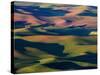 Rolling Green Hills of Spring Wheat-Terry Eggers-Stretched Canvas