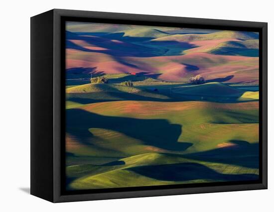 Rolling Green Hills of Spring Wheat-Terry Eggers-Framed Stretched Canvas