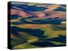 Rolling Green Hills of Spring Wheat-Terry Eggers-Stretched Canvas