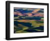 Rolling Green Hills of Spring Wheat-Terry Eggers-Framed Photographic Print