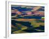 Rolling Green Hills of Spring Wheat-Terry Eggers-Framed Photographic Print