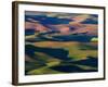 Rolling Green Hills of Spring Wheat-Terry Eggers-Framed Photographic Print