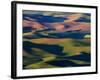 Rolling Green Hills of Spring Wheat-Terry Eggers-Framed Photographic Print