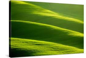 Rolling Green Hills-ZoomTeam-Stretched Canvas
