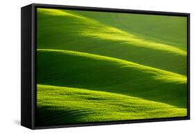 Rolling Green Hills-ZoomTeam-Framed Stretched Canvas
