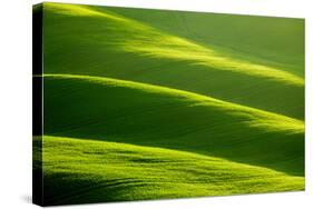 Rolling Green Hills-ZoomTeam-Stretched Canvas