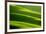 Rolling Green Hills-ZoomTeam-Framed Photographic Print