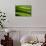 Rolling Green Hills-ZoomTeam-Mounted Photographic Print displayed on a wall