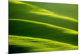 Rolling Green Hills-ZoomTeam-Mounted Photographic Print