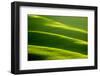 Rolling Green Hills-ZoomTeam-Framed Photographic Print