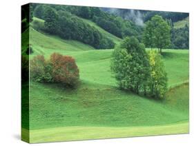 Rolling Green Hillside and Trees, Austria-Adam Jones-Stretched Canvas