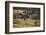 Rolling hills and aspen trees in colorful autumn display, Lamar Valley, Yellowstone NP, WY-Adam Jones-Framed Photographic Print