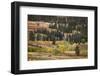 Rolling hills and aspen trees in colorful autumn display, Lamar Valley, Yellowstone NP, WY-Adam Jones-Framed Photographic Print