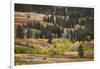 Rolling hills and aspen trees in colorful autumn display, Lamar Valley, Yellowstone NP, WY-Adam Jones-Framed Photographic Print