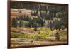 Rolling hills and aspen trees in colorful autumn display, Lamar Valley, Yellowstone NP, WY-Adam Jones-Framed Photographic Print