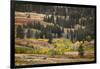 Rolling hills and aspen trees in colorful autumn display, Lamar Valley, Yellowstone NP, WY-Adam Jones-Framed Photographic Print