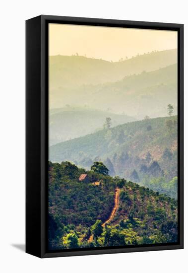 Rolling hills and coffee plantations in Central Highlands, Bao Loc, Lam Dong Province, Vietnam-Jason Langley-Framed Stretched Canvas