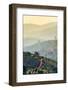Rolling hills and coffee plantations in Central Highlands, Bao Loc, Lam Dong Province, Vietnam-Jason Langley-Framed Photographic Print