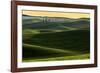 Rolling hills covered in wheat at sunset, Palouse region, Washington State.-Adam Jones-Framed Photographic Print