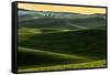 Rolling hills covered in wheat at sunset, Palouse region, Washington State.-Adam Jones-Framed Stretched Canvas