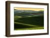 Rolling hills covered in wheat at sunset, Palouse region, Washington State.-Adam Jones-Framed Photographic Print