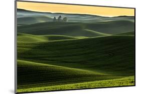 Rolling hills covered in wheat at sunset, Palouse region, Washington State.-Adam Jones-Mounted Photographic Print