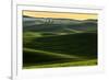 Rolling hills covered in wheat at sunset, Palouse region, Washington State.-Adam Jones-Framed Premium Photographic Print