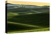 Rolling hills covered in wheat at sunset, Palouse region, Washington State.-Adam Jones-Stretched Canvas