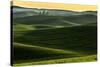 Rolling hills covered in wheat at sunset, Palouse region, Washington State.-Adam Jones-Stretched Canvas