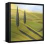 Rolling Hills I-Herb Dickinson-Framed Stretched Canvas