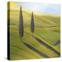 Rolling Hills I-Herb Dickinson-Stretched Canvas