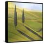 Rolling Hills I-Herb Dickinson-Framed Stretched Canvas